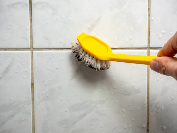  O, MI Mold Removal Pros