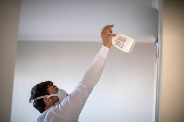 Water Damage Restoration in Mio, MI