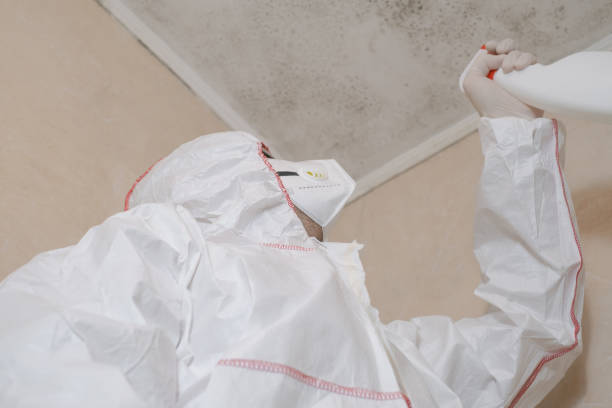 Best Mold Testing  in O, MI